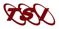 Logo TSI Consulting